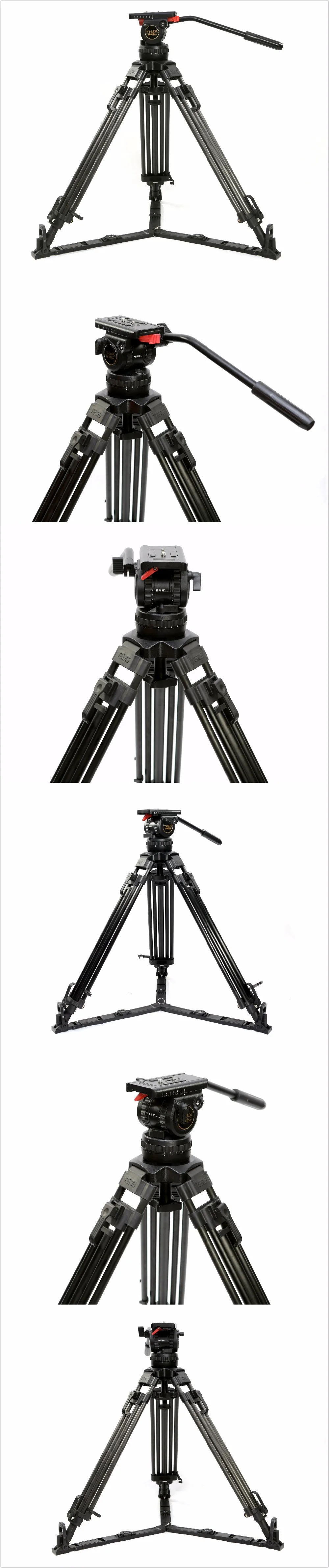 V12Tplus 2