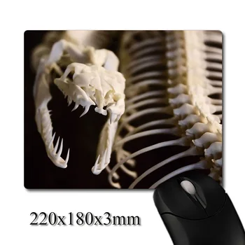

Exquisite dangerous Python skeleton close-up printed Heavy weaving anti-slip rubber office mouse pad Coaster Party favor gifts