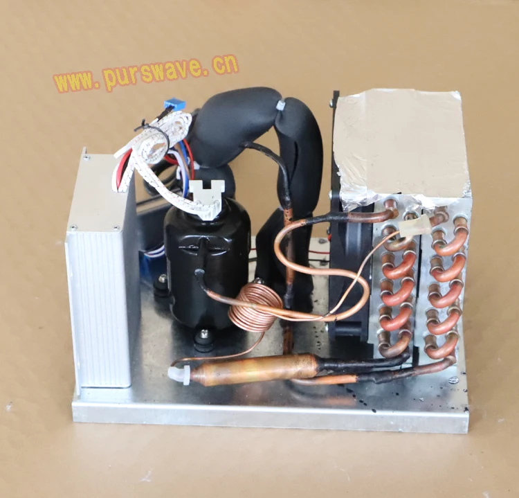 

St19d Purswave DC Mini Dehumidifier Units for Base Station 12V24V48V Compressor Units for Electric Cabinet Mini Refrigeration