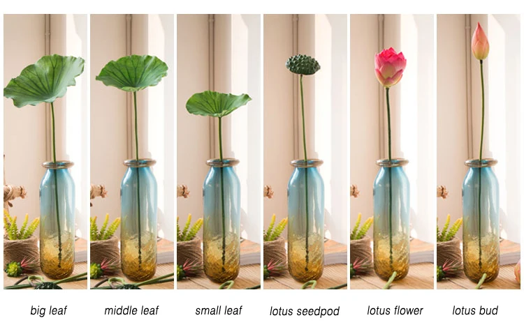 TB2Eqc_b80kpuFjy1XaXXaFkVXa_!!2048094189