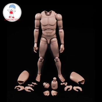 

New 1/6 Male Muscle Body Figure Europe Caucasian Skin MX02-A Asian Skin for 12" Military Soldier Action Figure doll Toys model