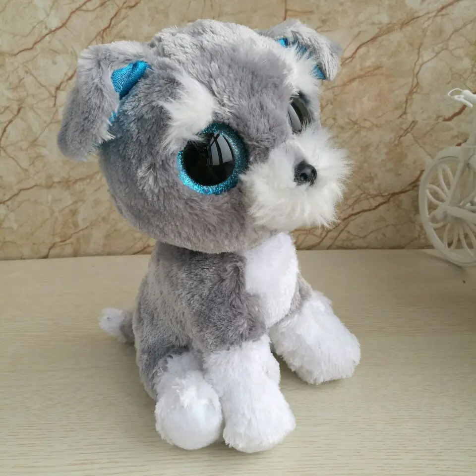 grey dog teddy