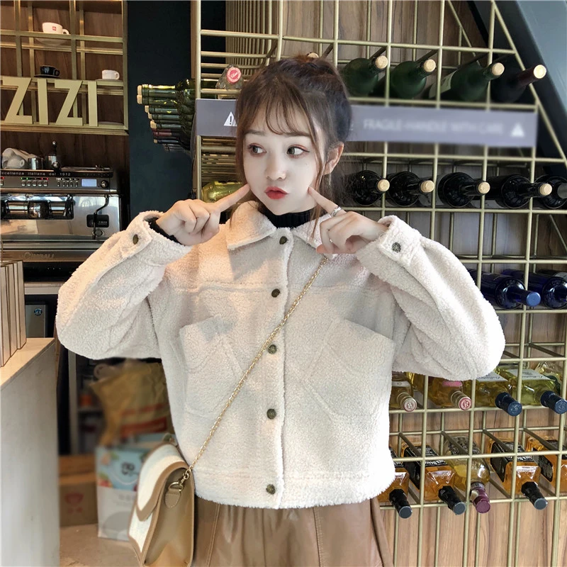 Autumn and winter new students Korean version of the short coat female loose thin plush short paragraph warm wild woman jacket