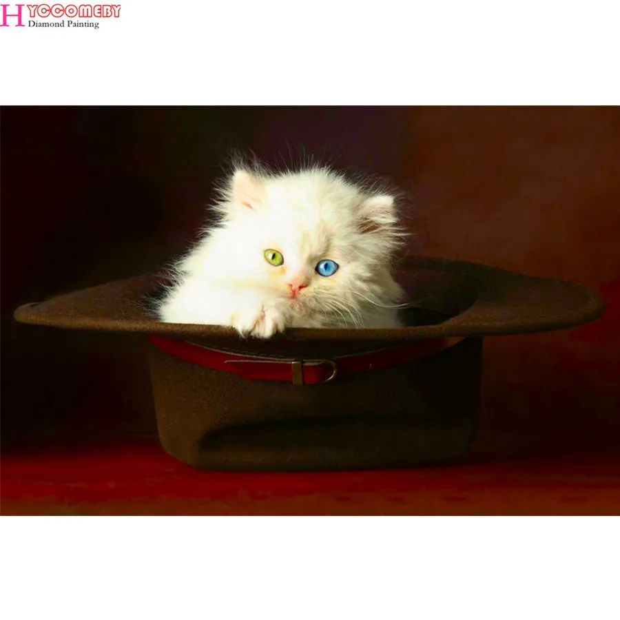 Полный квадрат 5D DIY Алмазная вышивка животное кошка картина крестиком Белоснежка