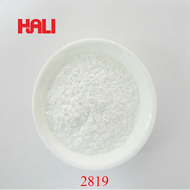 2819-3