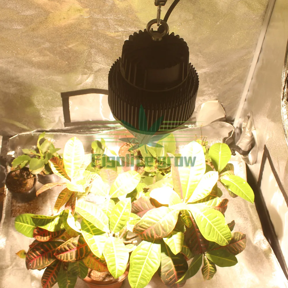 Новый DIY полный спектр Фактическая мощность 100w COB cxb 3590 чип светодиодный grow