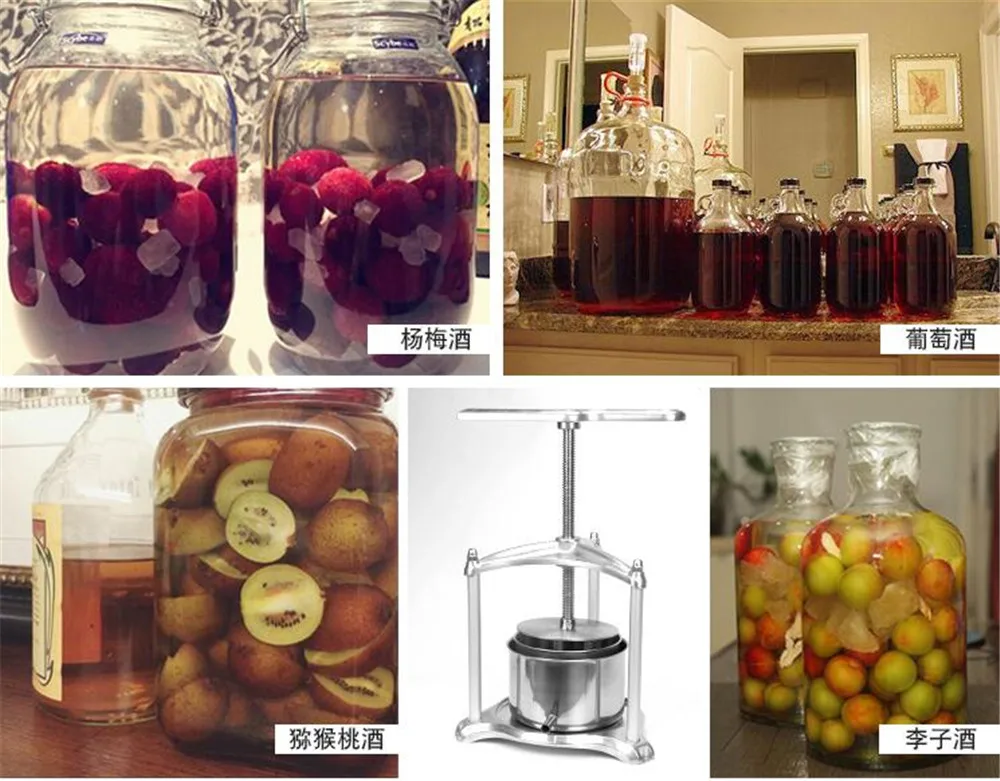 fruit presser05