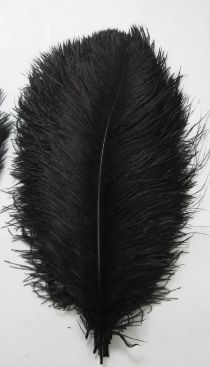 

50pcs natural Black ostrich feather 16-18 inches / 40-45cm, for a variety of decorative wedding,