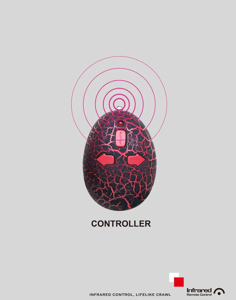 9542059002_1851793917