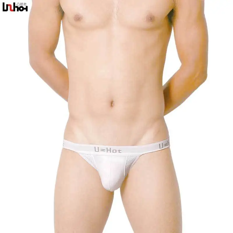 

Sexy Gay Underwear Men Mesh Cotton Briefs Shorts Man High Fork Low-rise U Convex Pouch Underpants Cueca calzoncillos M-XL