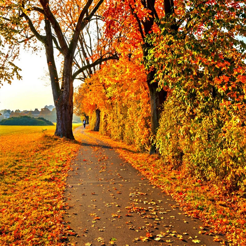 9000+ Wallpaper Alam Merah Gratis 9000+ Wallpaper Alam Merah Gratis