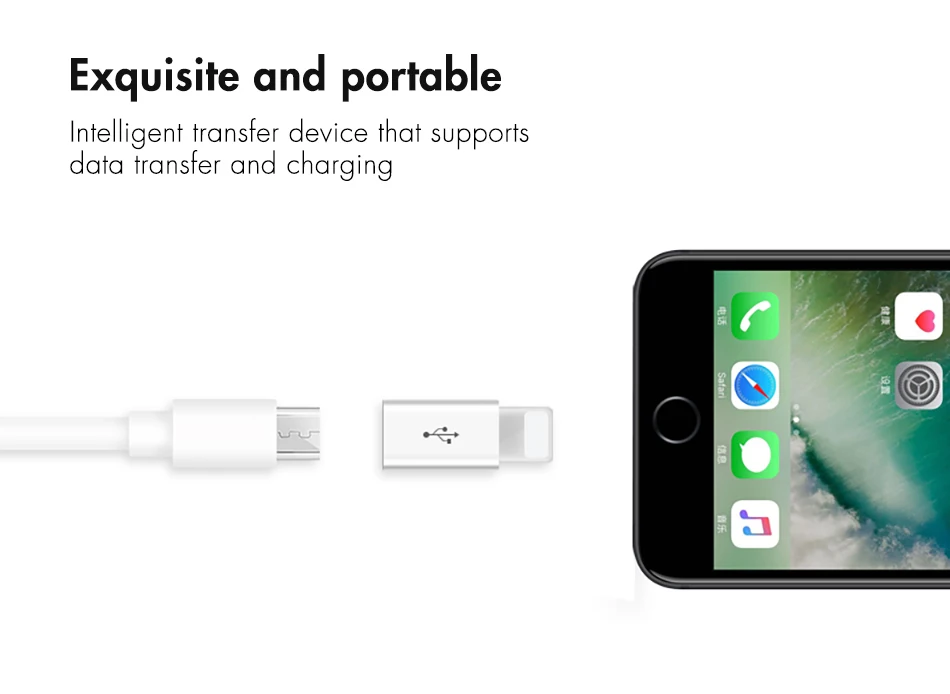 ACCEZZ Мини OTG освещение к Micro USB адаптер для Apple для iPhone XS MAX XR X 7 8 6S 6 Plus Синхронизация данных зарядный кабель Разъем