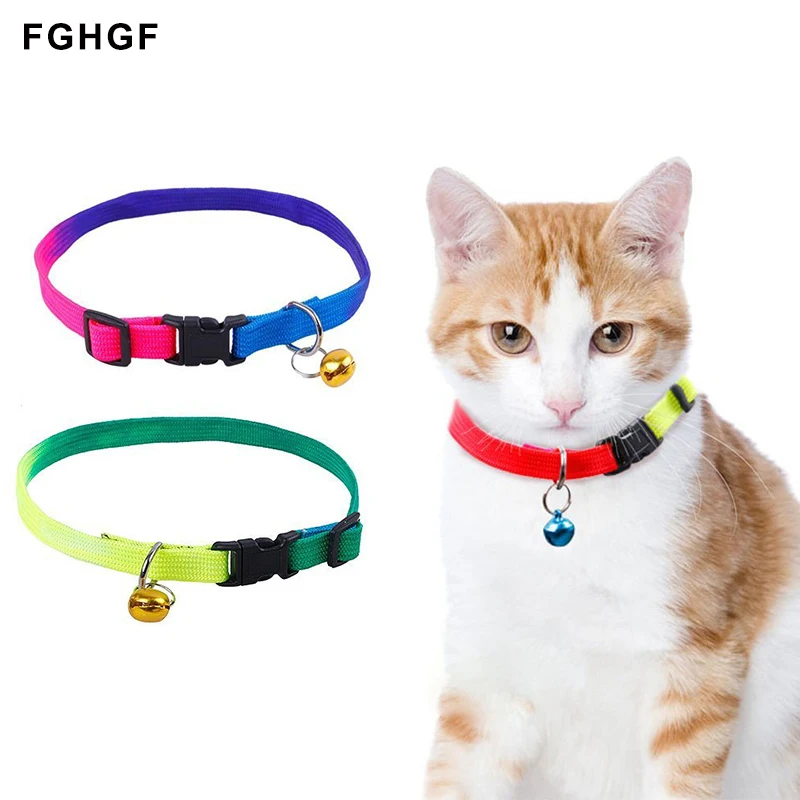 Шлейка для кошки. Котик в ошейнике. Ошейники для котят маленьких. Ошейники и поводки для кошек. Ошейники от блох котятам кошкам.