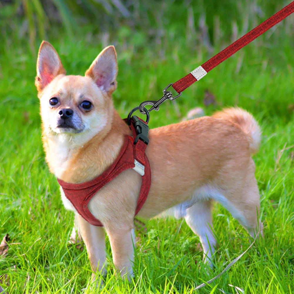 

Breathable Small Dog Pet Harness and Leash Set Puppy Cat Vest Harness Collar For Chihuahua Pug Bulldog Cat arnes perro