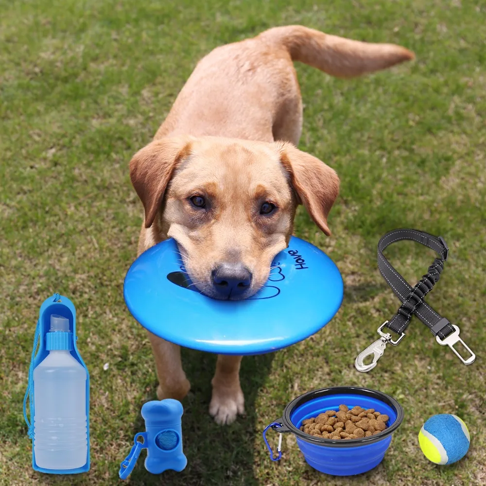 RU Fast Shipping 6 PCS/Set Dog Chew Toy Pet Interactive Dog Toys Daily