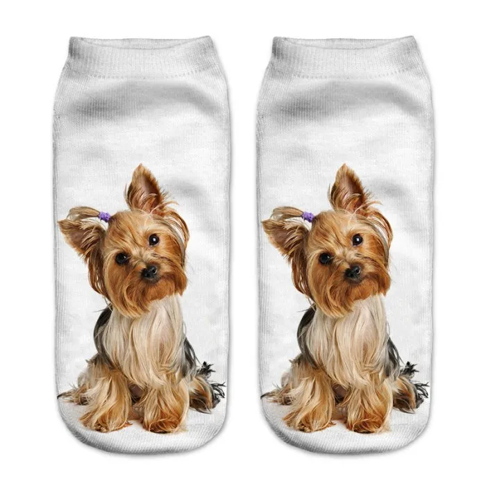 Chamsgend дизайн Для женщин девочек Ротвейлер Собака 3D печати женский носки Прямая поставка - Цвет: 11