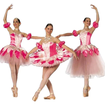 Child Costume Female Child Ballet Dance Dress Latin Dance Clothe Professional Ballet Tutu Ballet Dress For