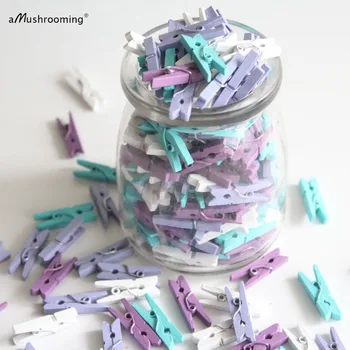 

Mini Pegs Mini Wooden Clothespins Color Peg 1" decorative clothespins Expedited Shipping Wedding Baby Shower Mother's Day