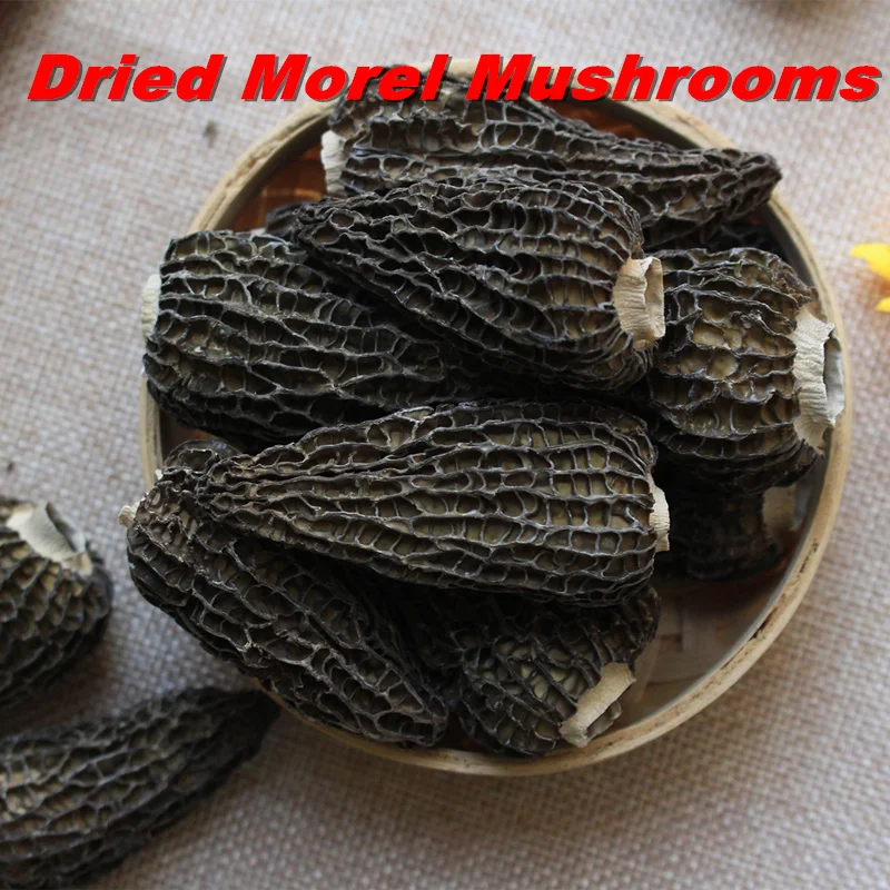 morchella morel cogumelos secos morels fresco superior grau gourmet