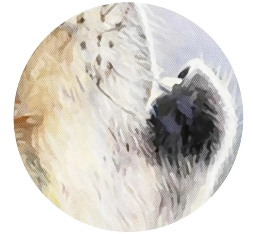 2018-06-25_155750_conew3