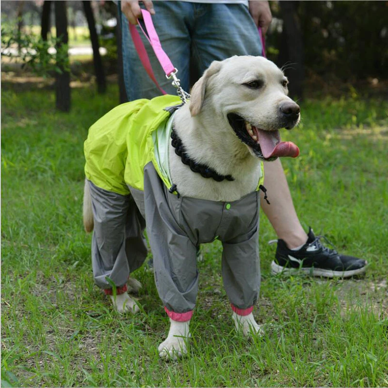 Chubasquero Impermeable para perros, chaqueta de lluvia para perros pequeños, medianos y grandes, chubasquero para perros Labrador Golden Retriever|Impermeables para perro| AliExpress