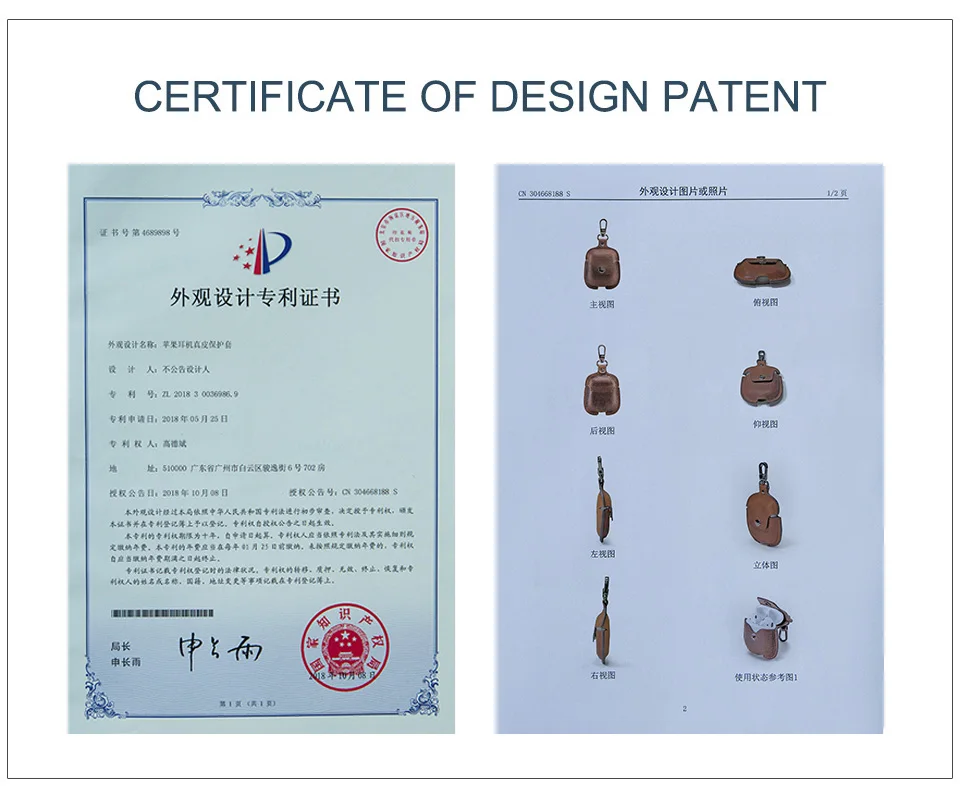 CF1100专利