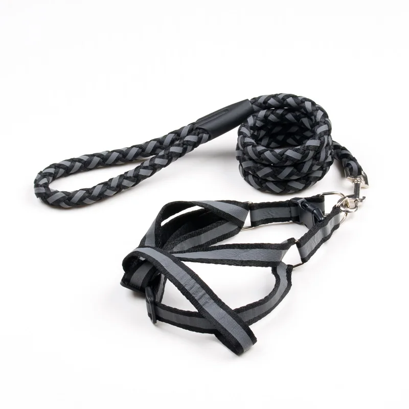 4 dog accessories 