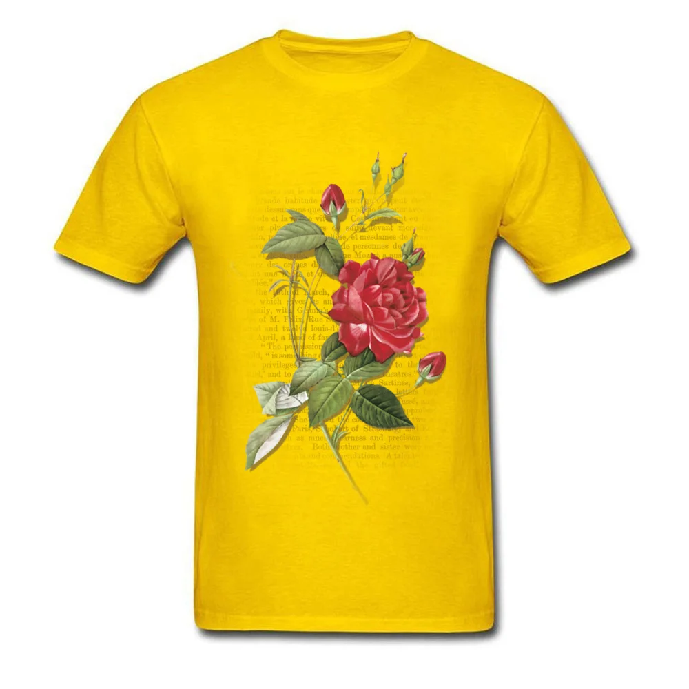 Rose Rouge Red Rose_yellow