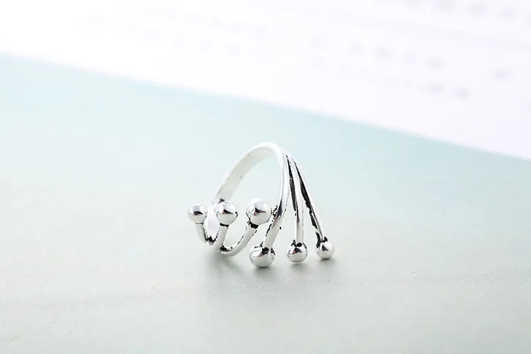 8589266991_1039125567