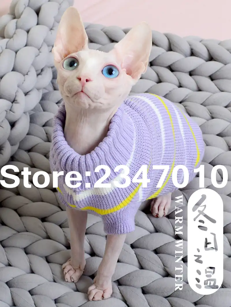 Pull Sphynx Animaux Vetements Pour Chats Sans Poils Sweats A Capuche Pour Animaux De Compagnie Chat Vetements Pour Petits Chiens Aliexpress