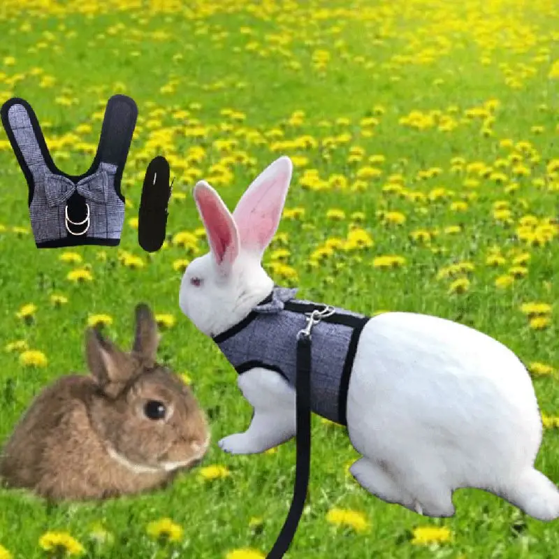 Rabbit Leash Lead Vest Small Animals Mesh Cotton Hamster Guinea Pig Harness Leash Pet Strap
