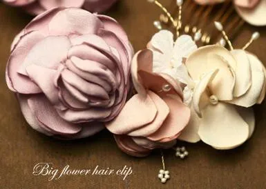 hair  clip big