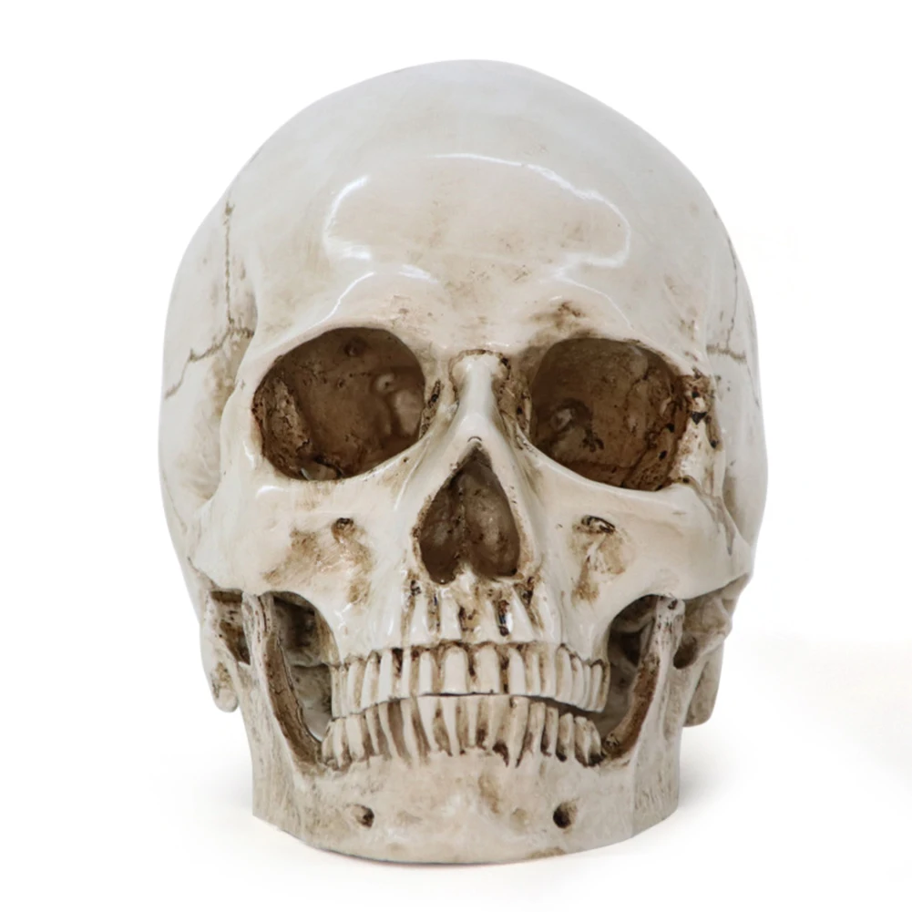 

New Arrival Statues Sculptures Resin Halloween Home Decorative Craft Skull 1:1 Model Kitchen Restaurant Bar Decor