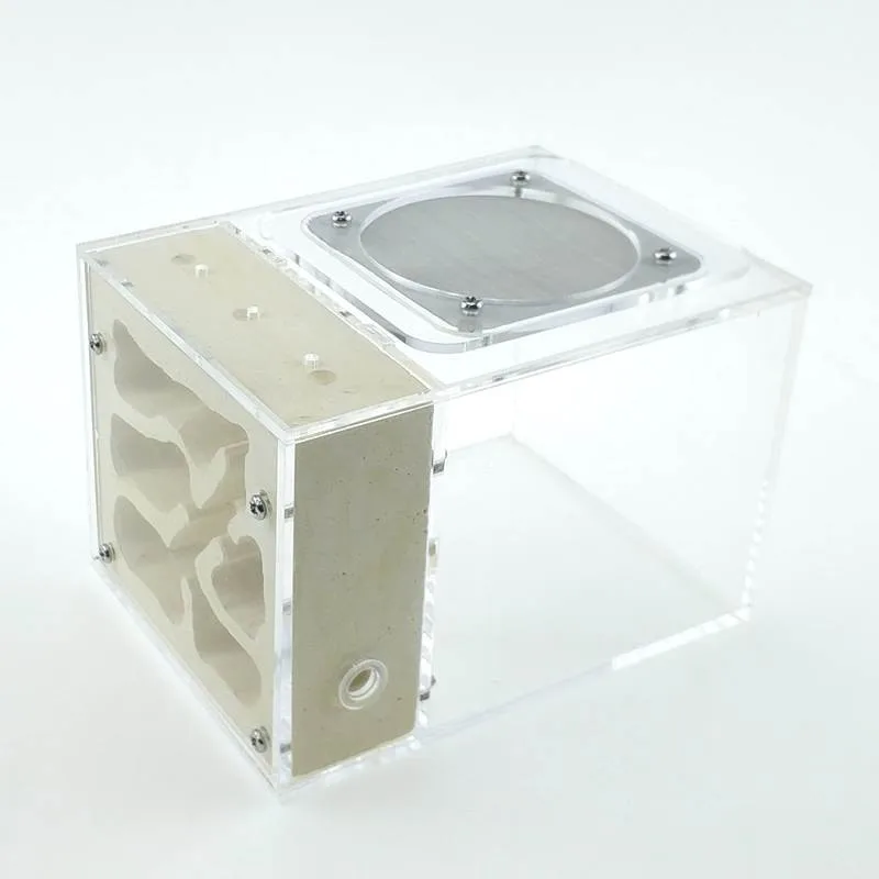 Small Ant Colony Acrylic Plaster Combo Hybrid Nest Ants Farm Ant Formicarium Box (8)
