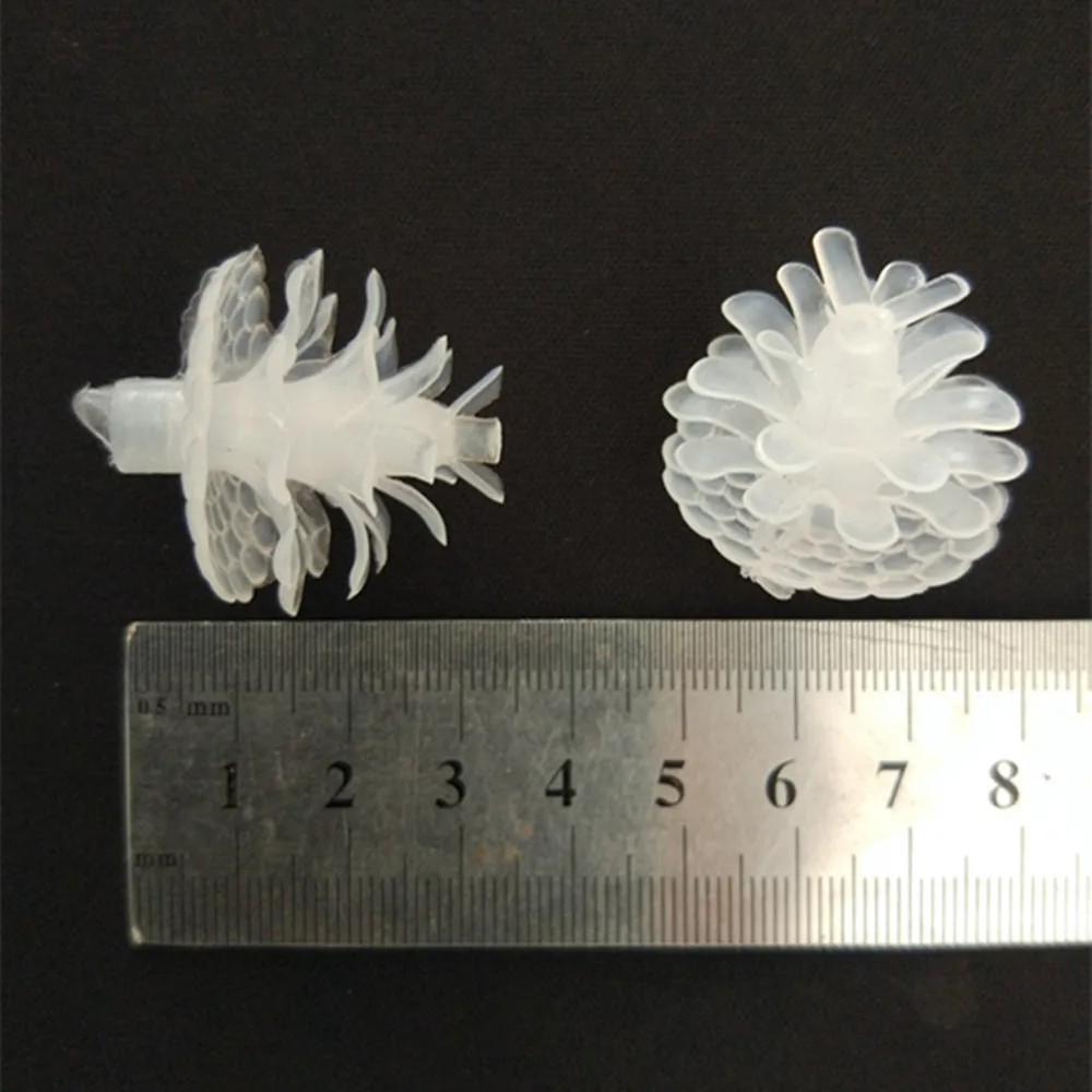 pine corn size