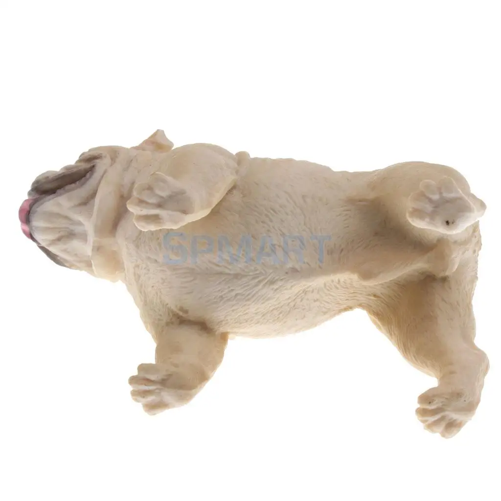 Simulation Wildlife Farm Pet Animal Model Action Figures Figurine Kid Educational Science Nature Toy Home Collectible Decoration