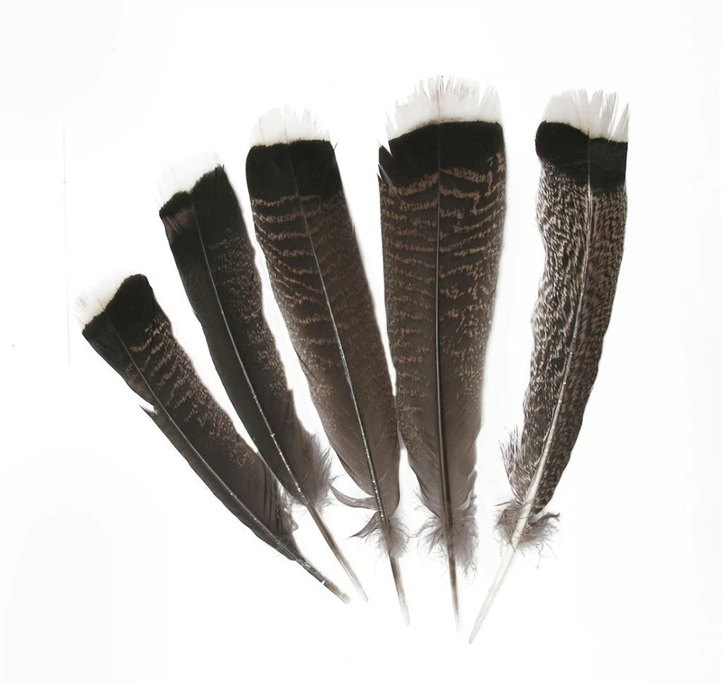 20pcs Natural Turkey Feathers Bulk 10-12 inch Wild Turkey Feather