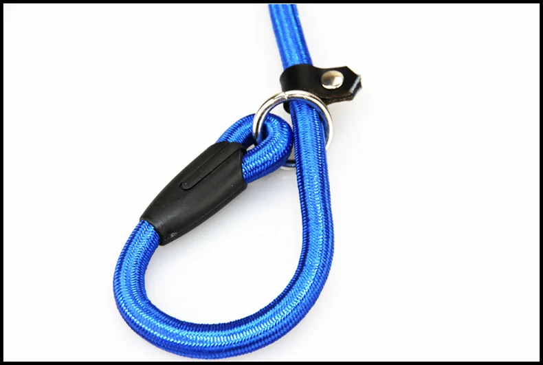 2229393220_1859593290