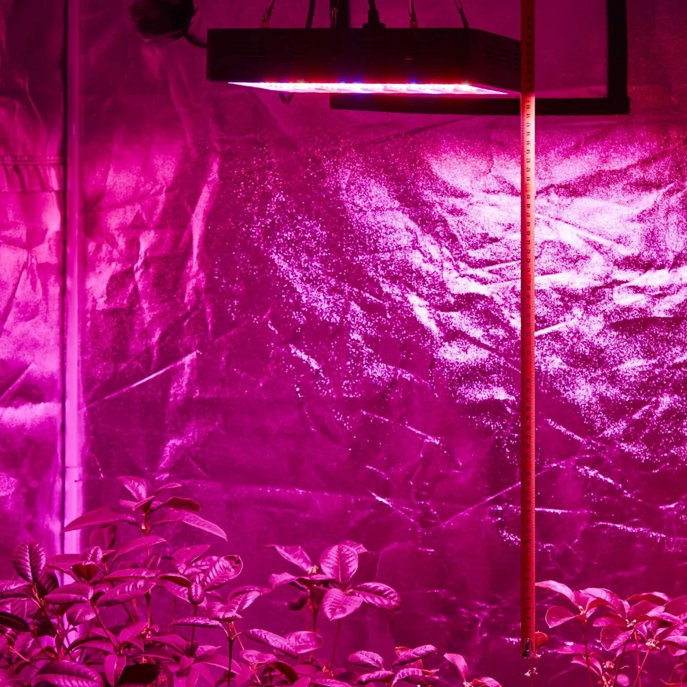 BOSS светодиодный 1000 Вт двойные чипы полный спектр Grow светильник для комнатные
