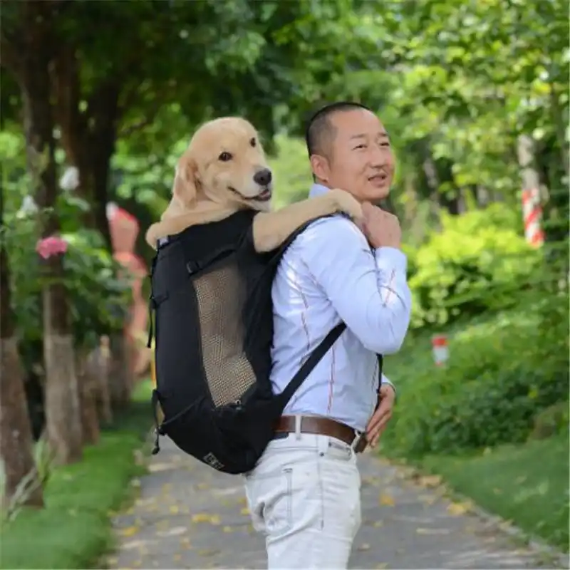 large dog carrier bag