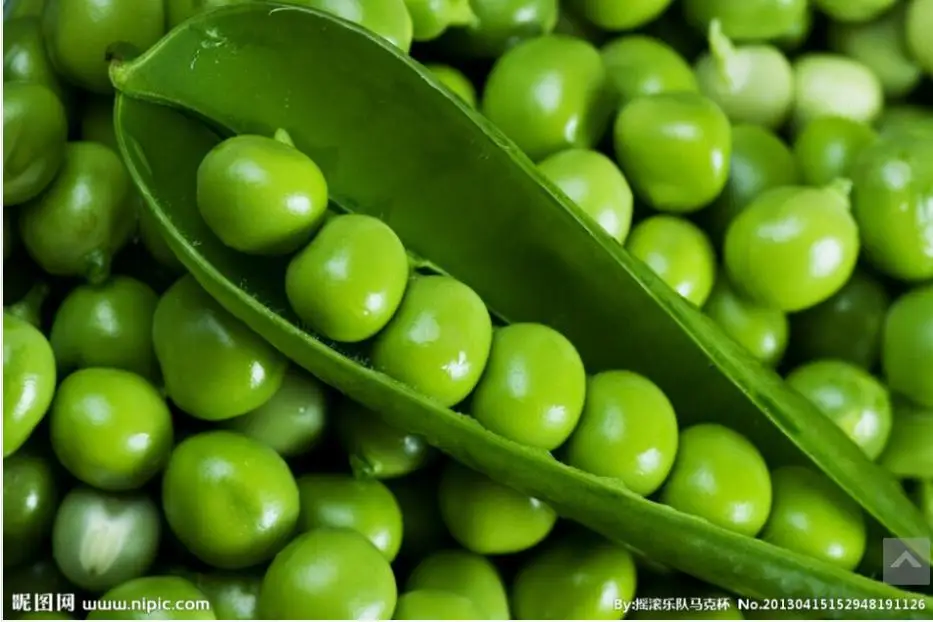 Vegetable fruit sweet pea seeds Snow peas seed Bonsai plants Seeds for