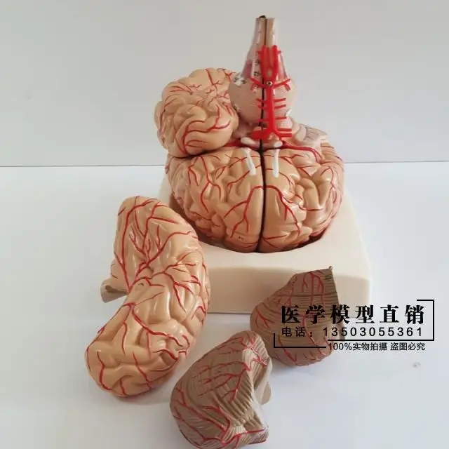 //img.alicdn.com/imgextra/i1/2674272596/TB2cohEipXXXXX0XpXXXXXXXXXX_!!2674272596.jpg