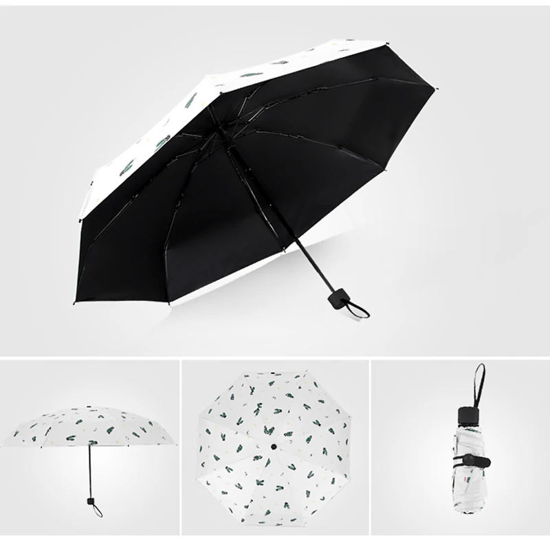 Transparent Umbrella (13)