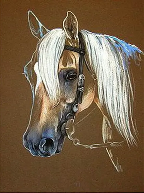 3D-Diy-Round-Diamond-Painting-Cross-Stitch-Square-Full-Diamond-Mosaic-horse-picture-Needlework-Diamond-Embroidery.jpg_640x640