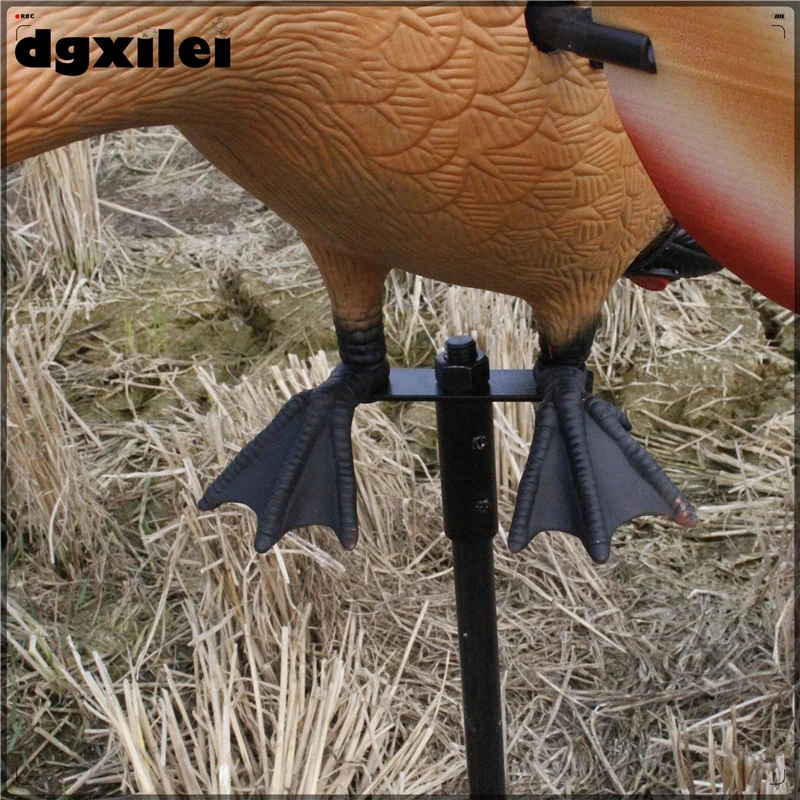 XL-1801-5
