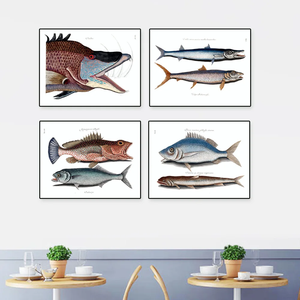 Fishing prints vintage / antique color drawing fish unframed set of 4 Fishing Decor, Fishing Art, Fisherman Gift, Nautical Art