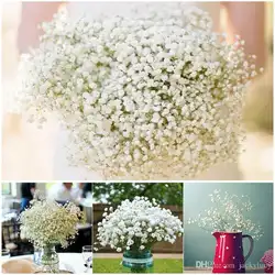 Симация Gypsophila шелковые детские дышащие Искусственные цветы из шелка растение для дома Свадебные украшения 500 шт/партия Бесплатная Ши