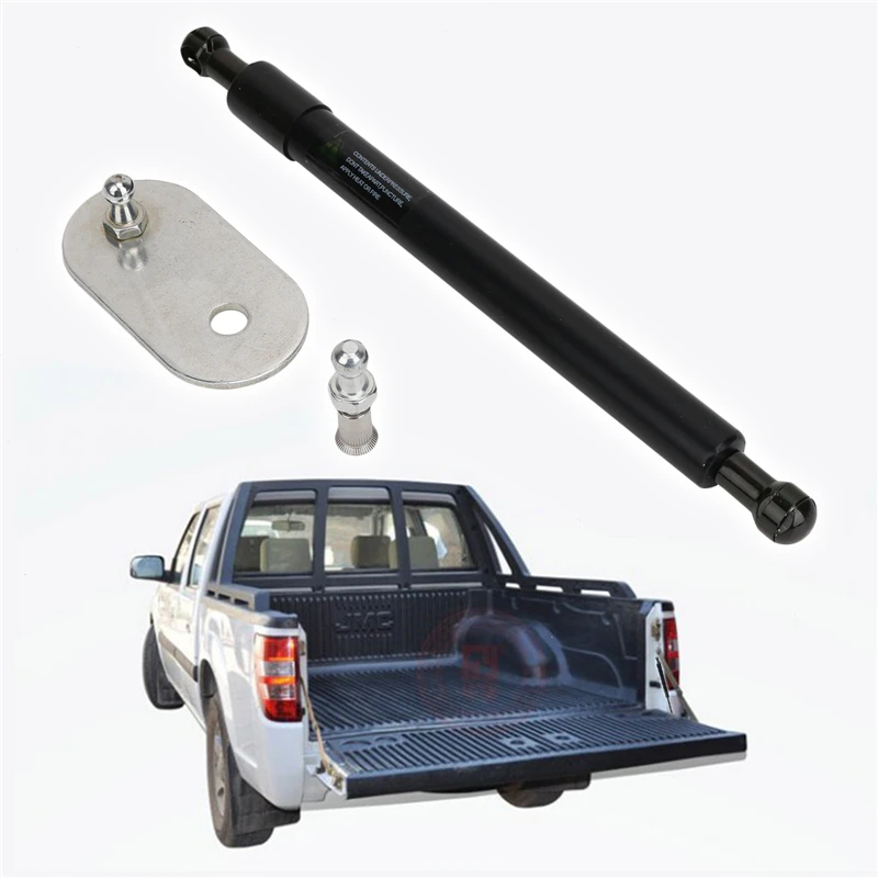 Tailgate Assist (4)