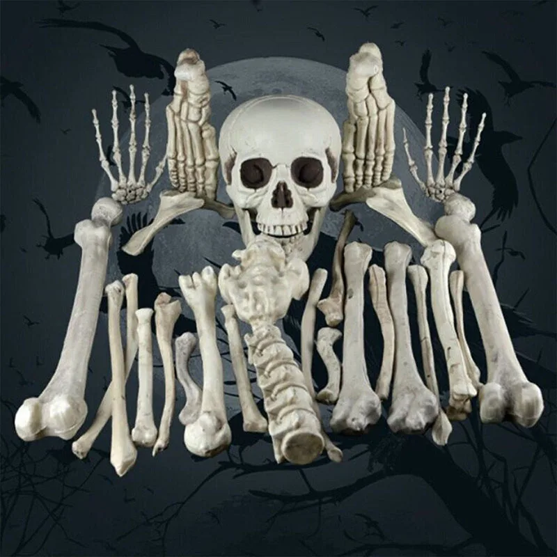 Cosplay&ware Halloween Decoration Bone Animals Skeleton Ornaments Batspiderdragonbird Bones Hallowmas Horror Party -Cosplayware Store HTB1J0CPXorrK1RkSne1q6ArVVXa9.jpg