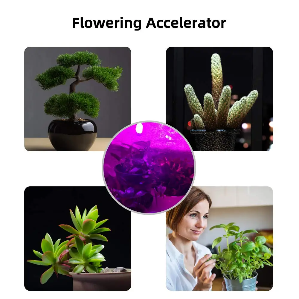 LED Grow Light Bulb 2